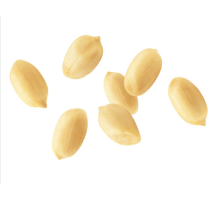 Several shelled and blanched peanuts scattered on a white background.