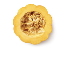 A top-down view of a yellow scalloped squash cut in half, showing the seeds and pulp inside.