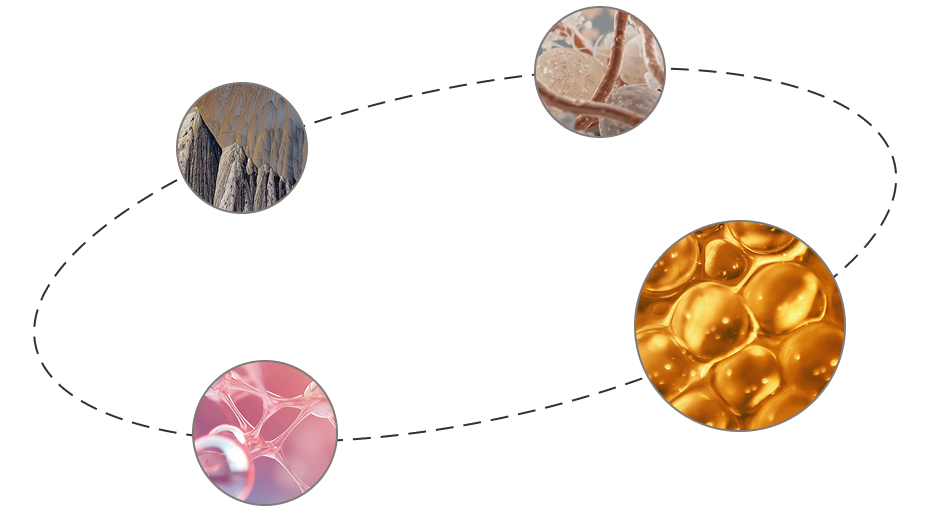 Brü constellation with ingredient layers - real bones, collagen, protein, minerals