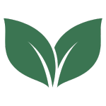 Two green leaves graphic on a white background.