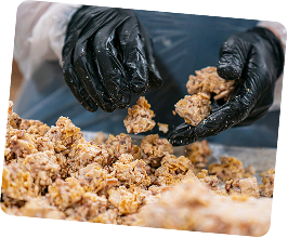 Person wearing gloves handling ground meat mixture.