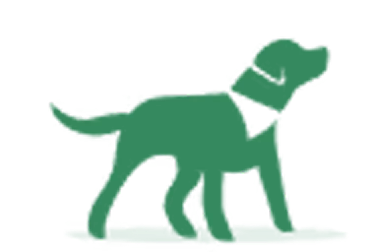 Green silhouette of a dog standing on all fours.
