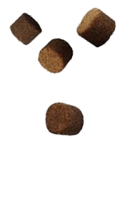 Four brown, cube-shaped objects on a black background.