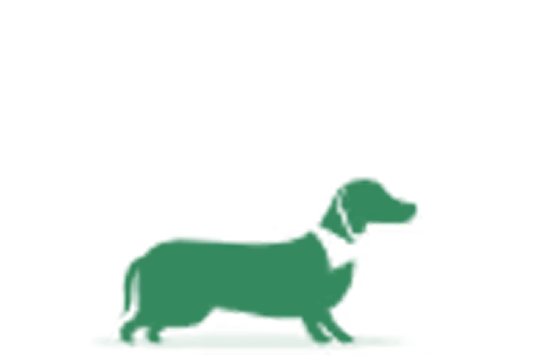 Green silhouette of a dachshund dog on a black background.