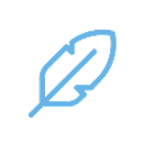 Simple line drawing of a feather in blue.