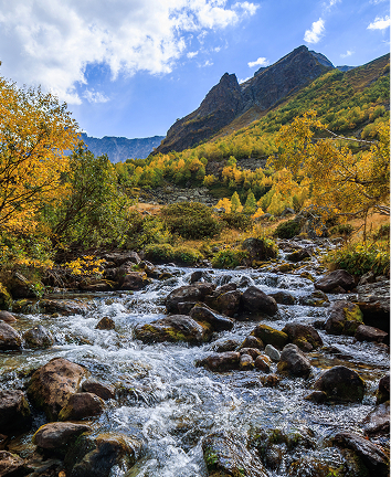 Mountain stream flowing through autumn foliage with rocky terrain.