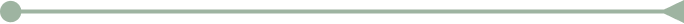A green horizontal line with a circle on the left and a point on the right.