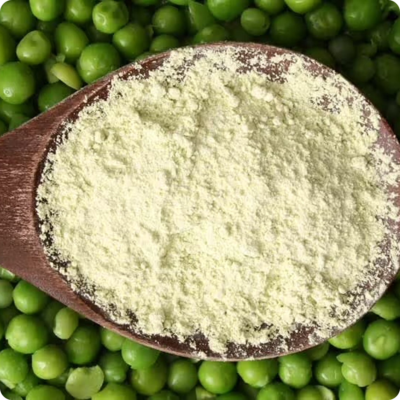 Wooden spoon with green powder on green peas background.