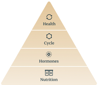DailyBasis health pyramid diagram showing Nutrition as the foundation supporting Hormones, Cycle, and Health