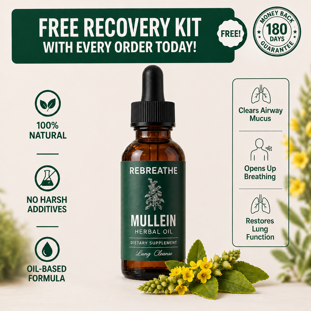An advertisement for Rebreathe Mullein Herbal Oil, showing the bottle with yellow flowers and listing its benefits.
