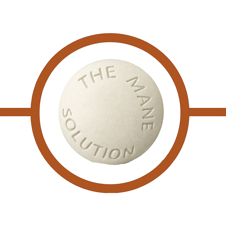 A bowl of cooked ground beef with diced vegetables.