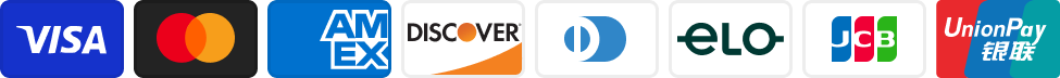 A row of logos for various payment methods including Visa, Mastercard, American Express, Discover, and UnionPay.
