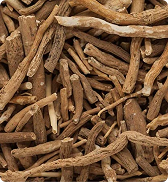 Close-up of dried roots or twigs in a pile.