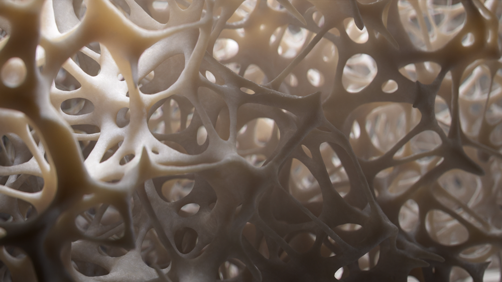Close-up of a porous, beige fibrous structure with organic shapes.