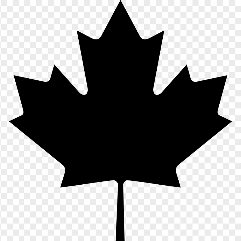 Silhouette of a maple leaf on a transparent background.