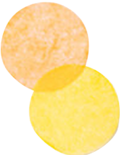 Two overlapping textured circles, one orange and one yellow.
