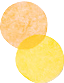 Two overlapping textured circles, one orange and one yellow.