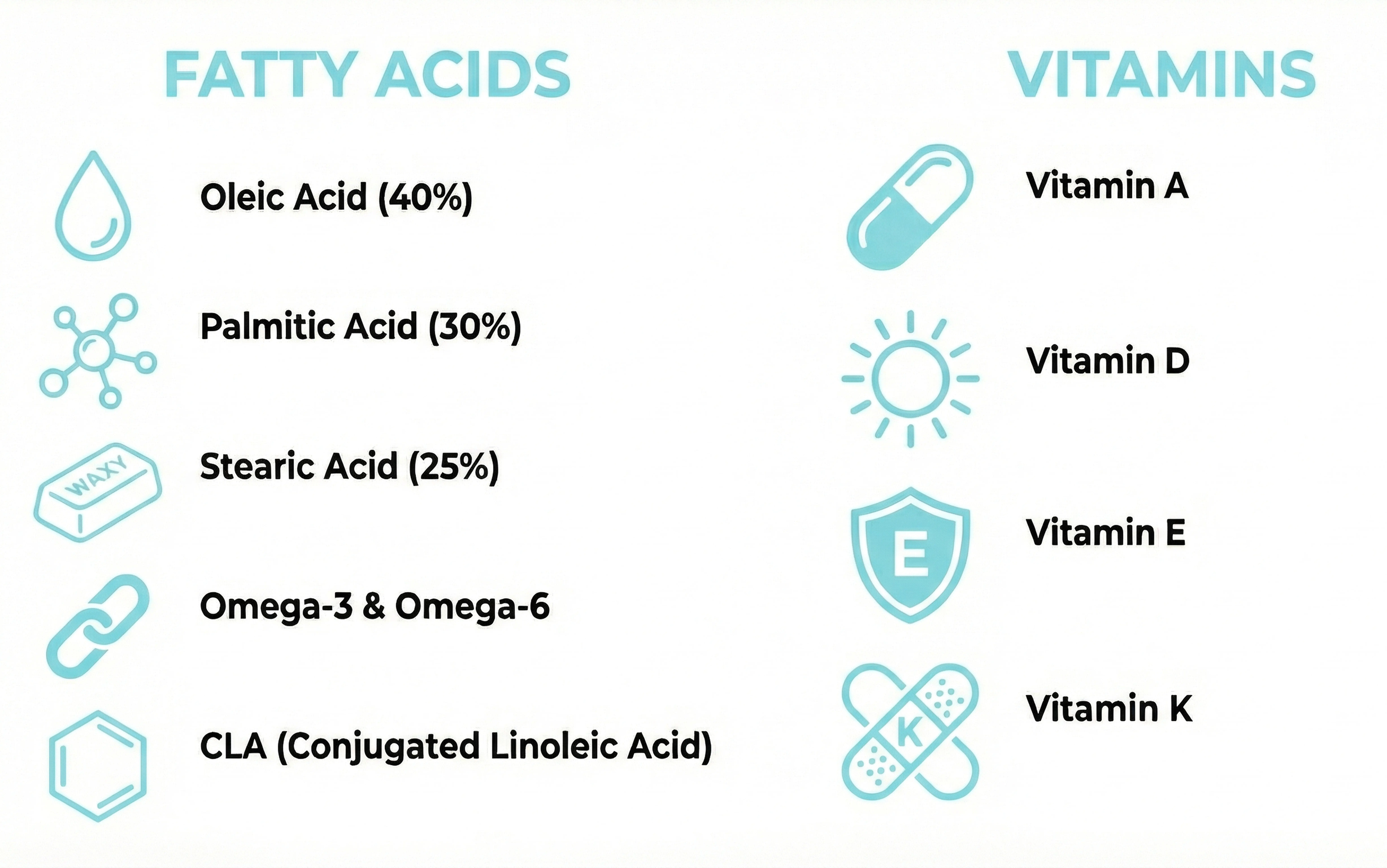 An infographic listing different types of fatty acids and vitamins with corresponding icons.