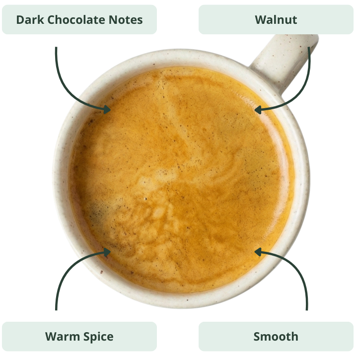 An overhead shot of a cup of espresso with labels pointing to tasting notes like dark chocolate and walnut.