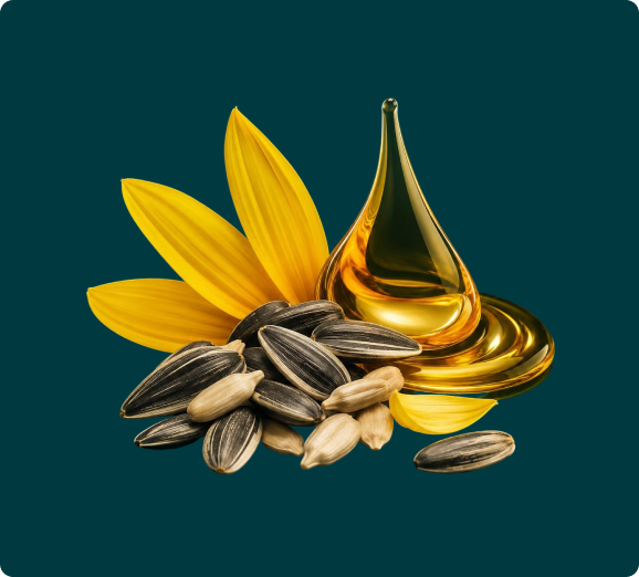 A still life of sunflower seeds, petals, and a large drop of golden oil against a teal background.