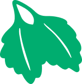 A simple green icon of a leaf with ruffled edges.