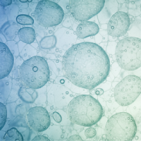 A close-up, abstract image of various sized bubbles with a blue and green color gradient.