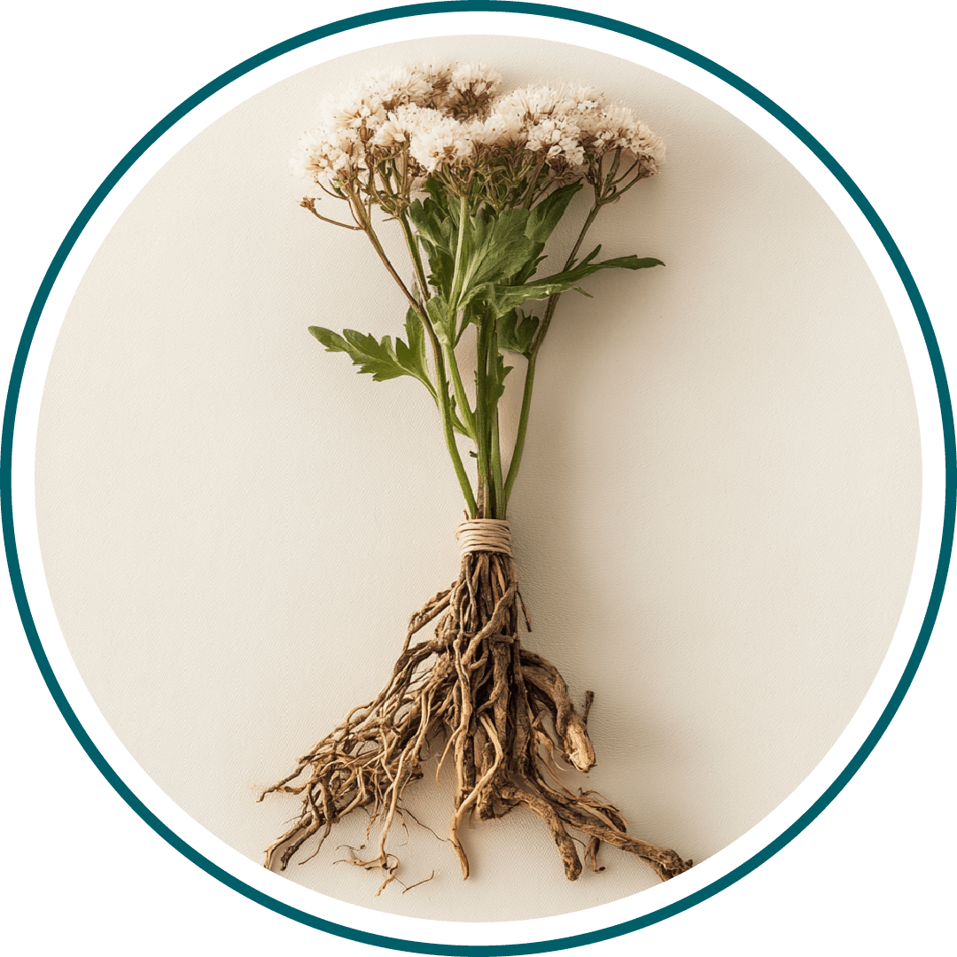 A bundle of roots and flowers tied together on a plain background.