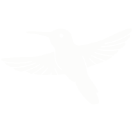 Silhouette of a hummingbird in flight with wings spread.