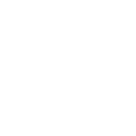White globe with network lines on a black background.