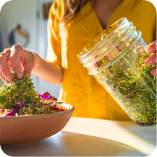 Day 5, Harvest and eat: fresh sprouts added to a salad