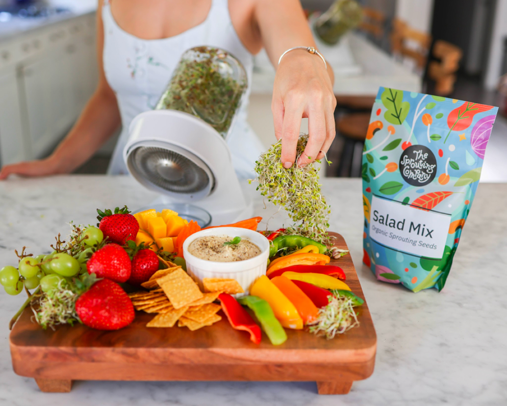 Fresh broccoli sprouts held above a plate of raw vegetables and dip