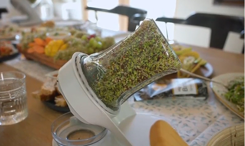 A sprout growing kit sits on a desk next to a takeout salad, receipt, and laptop.