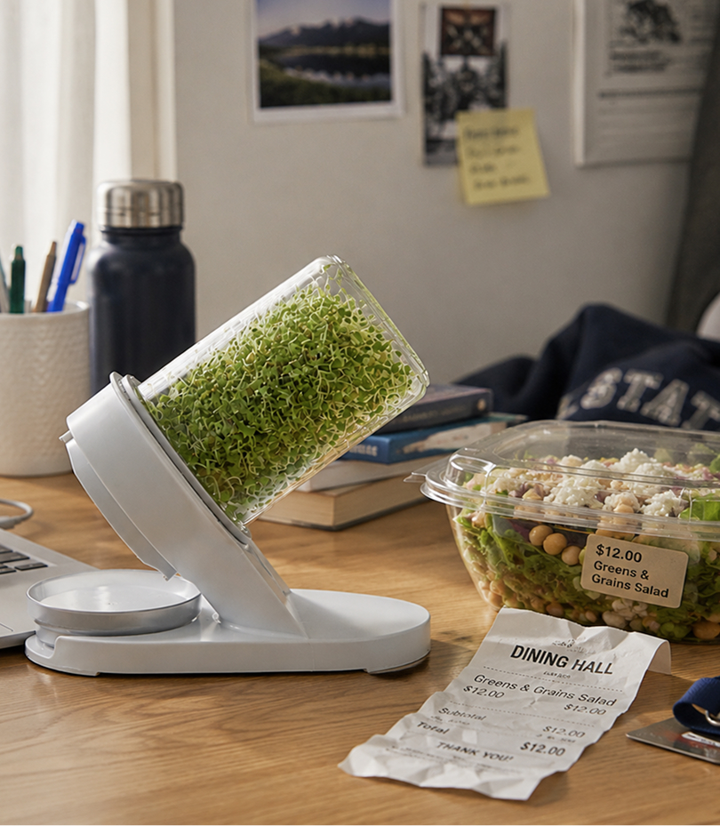 A sprout growing kit sits on a desk next to a takeout salad, receipt, and laptop.