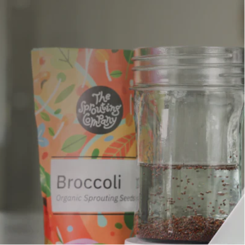 Glass sprouting jar from The Sprouting Company ready to soak seeds
