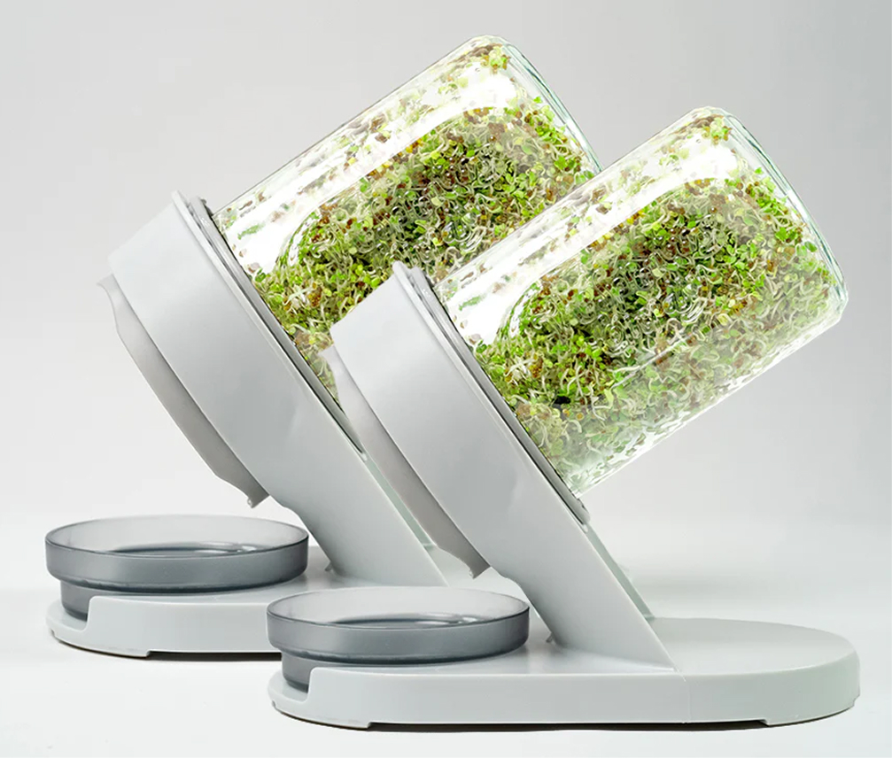 Hands lifting a jar packed with fresh sprouts on a kitchen counter