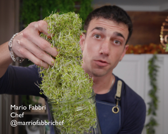 Mario Fabbri, chef, holding a jar of fresh broccoli sprouts