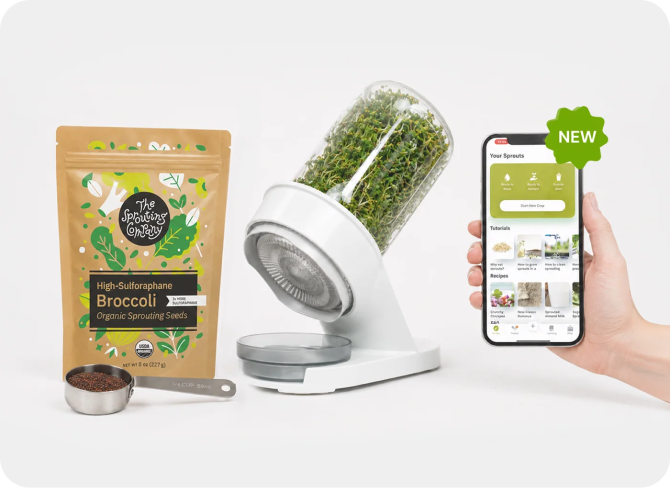 Sprouting kit with broccoli seed bag, countertop sprouter, and phone showing the sprouting app