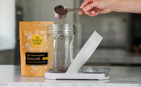 A sprout growing kit sits on a desk next to a takeout salad, receipt, and laptop.
