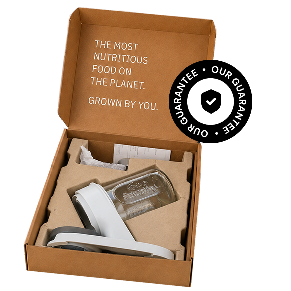 An open cardboard box with a home growing kit inside, including a glass jar and white base.