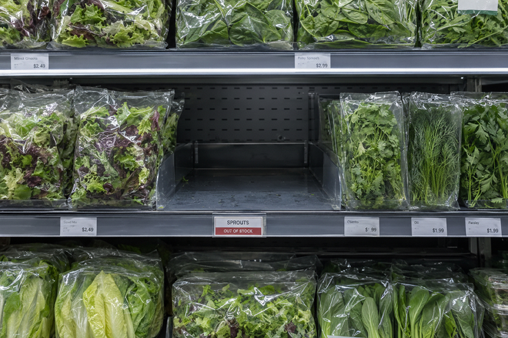 Grocery store shelves stocked with packaged greens