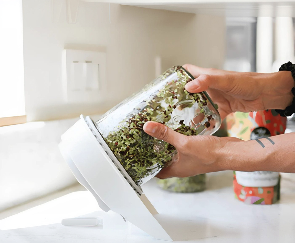 Hands harvesting fresh sprouts from the countertop sprouter in a kitchen