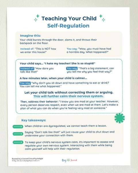 An infographic titled 'Teaching Your Child Self-Regulation' with tips and examples for parents on managing a child's emotions.