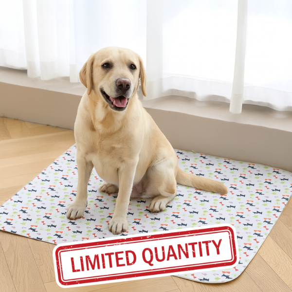 Smiling dog sits on a decorative mat with 'Limited Quantity' text.