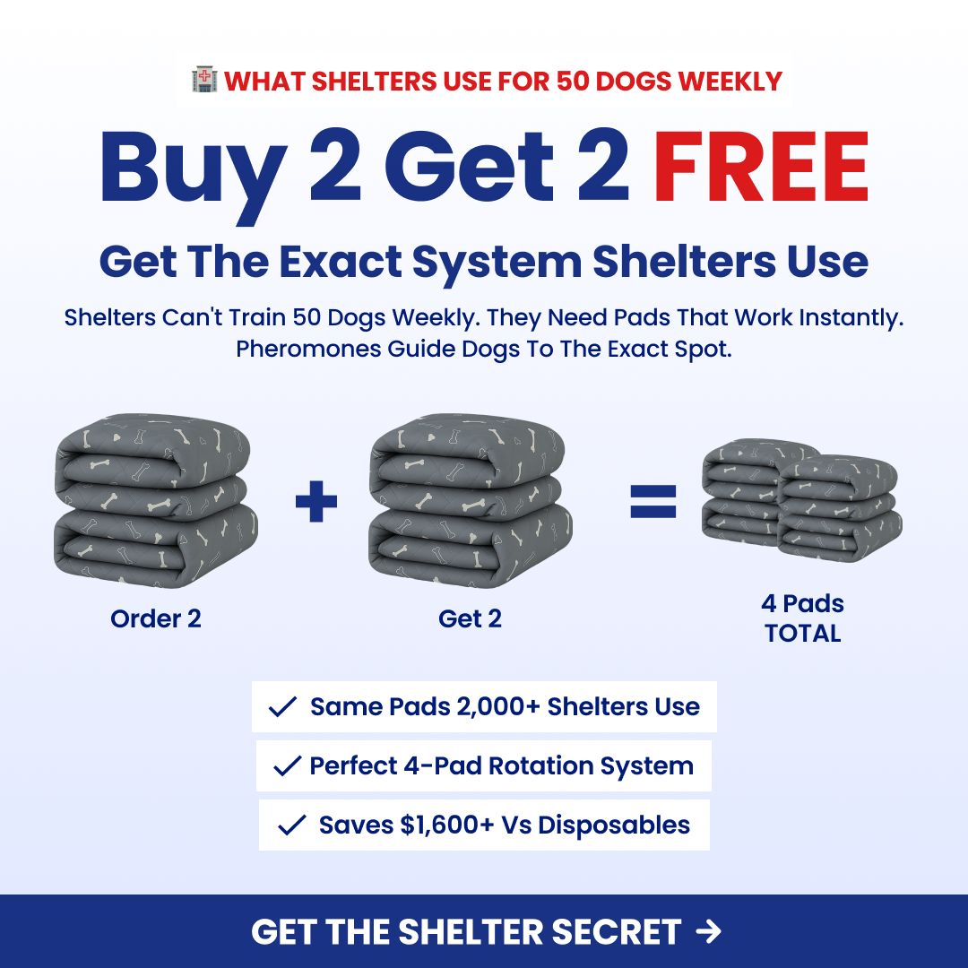 Promotion for dog pads: buy 2, get 2 free, with images of folded pads.