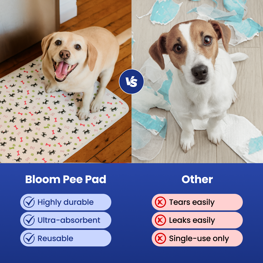 Comparison of Bloom Pee Pad and another pee pad with two dogs.