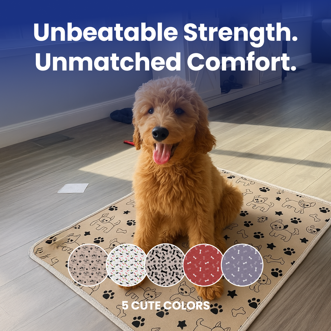 Fluffy dog sitting on a patterned mat with text and color samples.