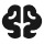 A simple, black, symmetrical icon of a brain viewed from the top.