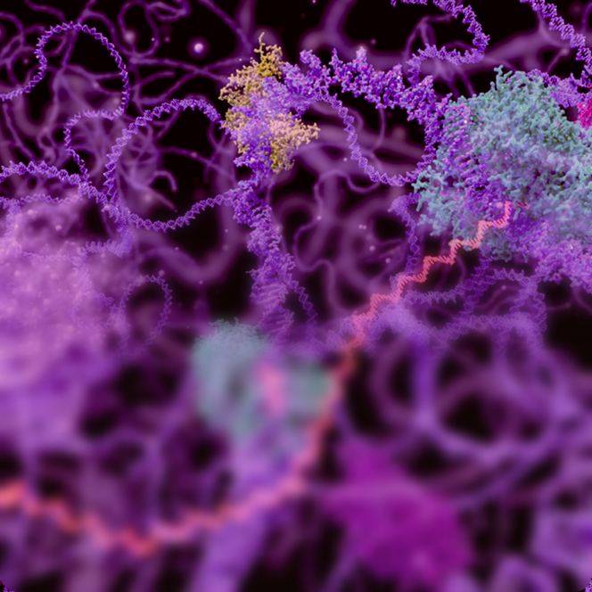 Abstract purple and pink molecular structure with swirling patterns.