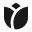 A simple black stylized icon of a tulip flower.