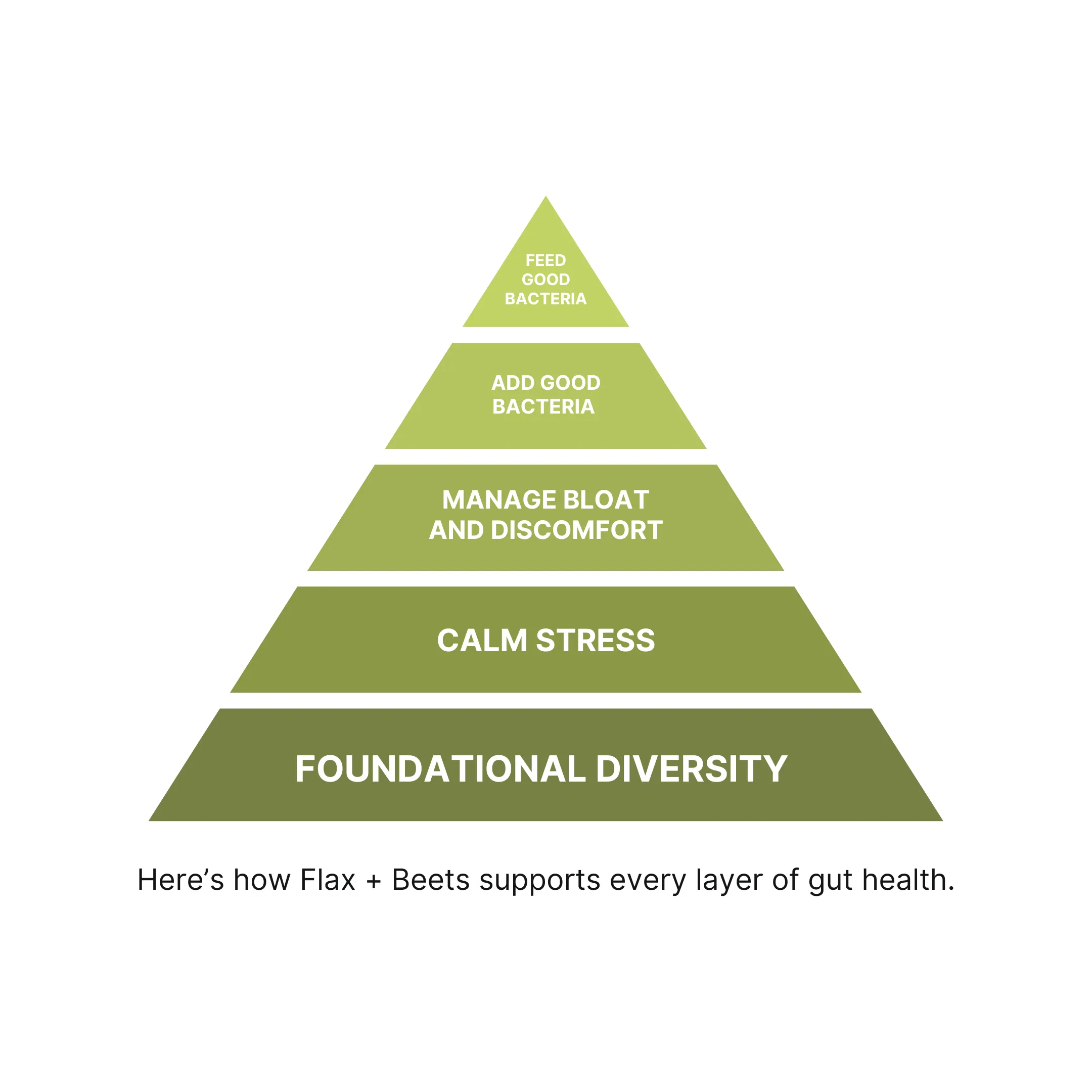 Two containers of gut health supplements with glasses of green juice and fruit slices.